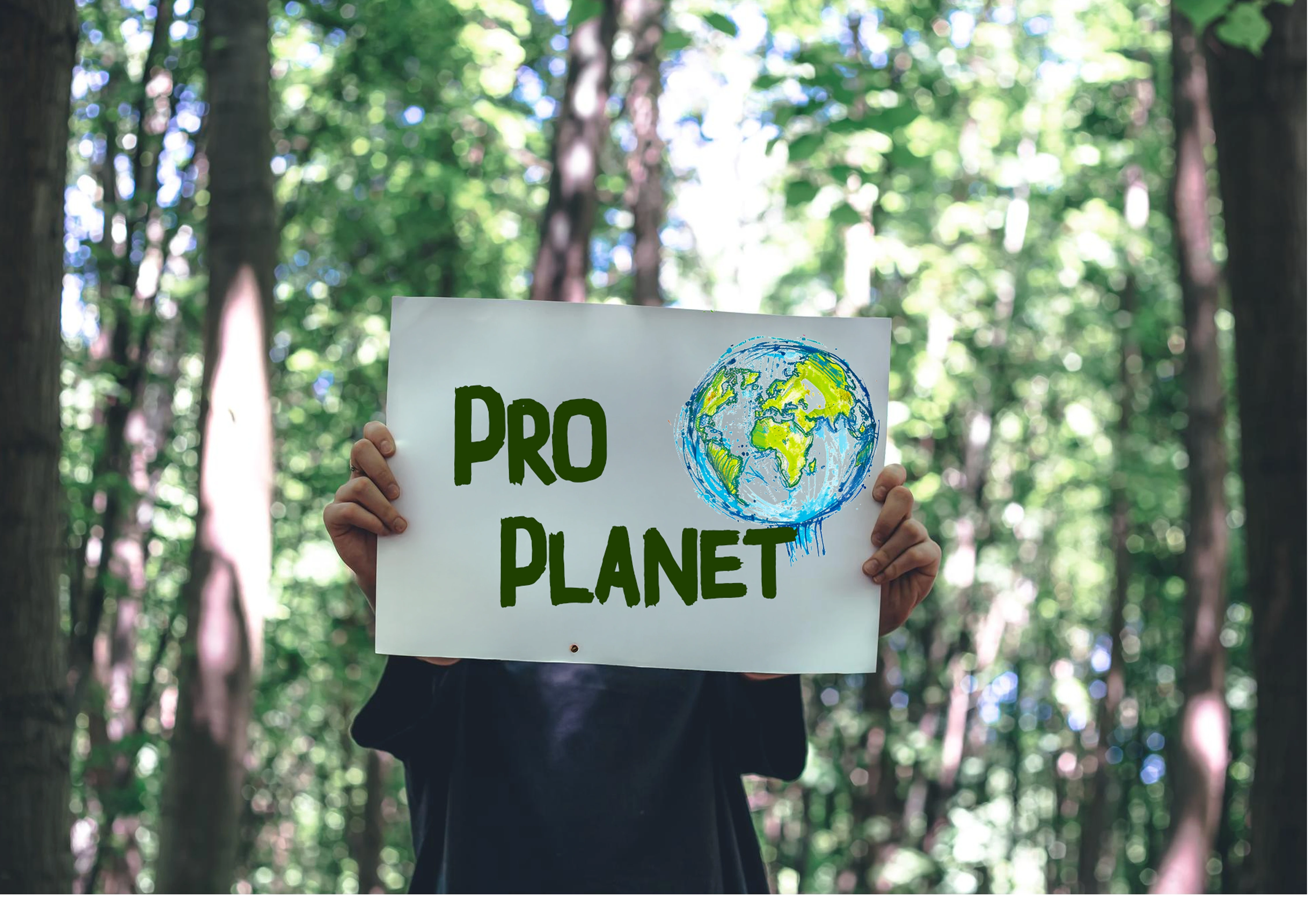 Pro Planet Blog